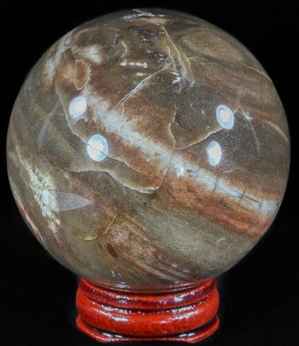 Colorful Petrified Wood Sphere #49763